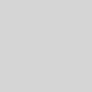 Test embed any document LPI PPT